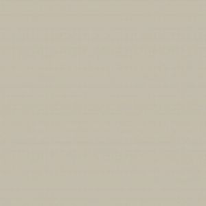 PORCELANATO 70X70 POL RETIF DUNA CX 2.44 M2  PROMO