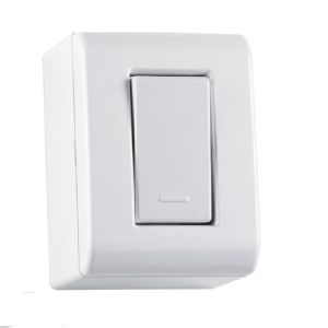 INT. LIZFLEX SOBREPOR BR 1 TECLA SIMP 10A/250V REF. 57304001