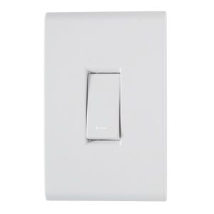 INT. LIZ BRANCO 4X2  1 TECLA SIMP 10A/250V